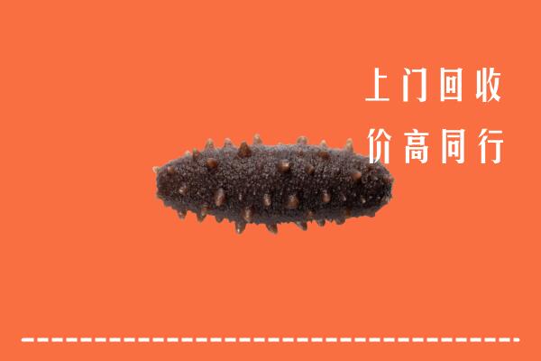 西安区回收海参